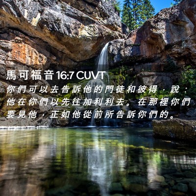 Picture 02 - 馬 可 福 音 16:7 CUVT - 你 們 可 以 去 告 訴 他 的 門 徒 和 - Bible Verse Picture