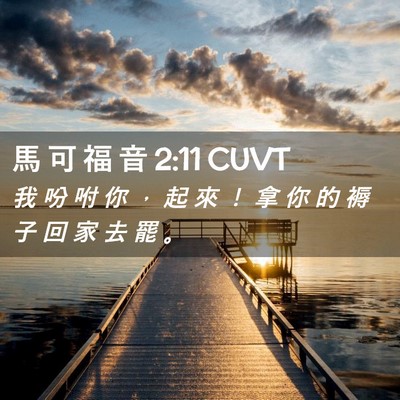 Picture 02 - 馬 可 福 音 2:11 CUVT - 我 吩 咐 你 ， 起 來 ！ 拿 你 的 褥 - Bible Verse Picture