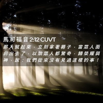 Picture 02 - 馬 可 福 音 2:12 CUVT - 那 人 就 起 來 ， 立 刻 拿 著 褥 子 - Bible Verse Picture