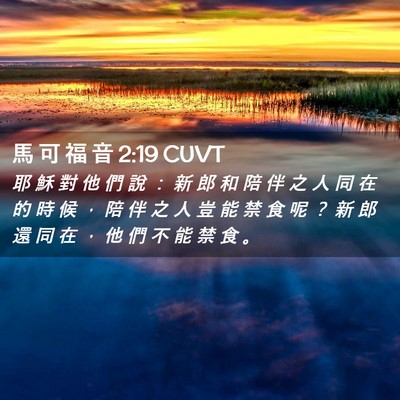 Picture 02 - 馬 可 福 音 2:19 CUVT - 耶 穌 對 他 們 說 ： 新 郎 和 陪 伴 - Bible Verse Picture