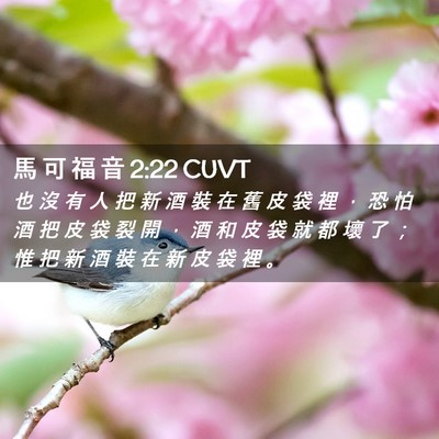 Picture 02 - 馬 可 福 音 2:22 CUVT - 也 沒 有 人 把 新 酒 裝 在 舊 皮 袋 - Bible Verse Picture