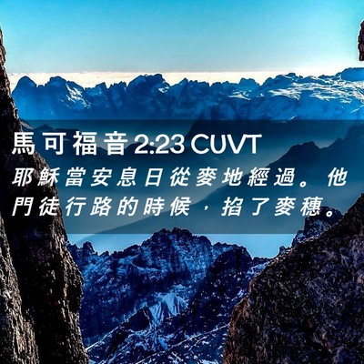 Picture 02 - 馬 可 福 音 2:23 CUVT - 耶 穌 當 安 息 日 從 麥 地 經 過 。 - Bible Verse Picture