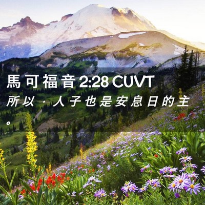 Picture 02 - 馬 可 福 音 2:28 CUVT - 所 以 ， 人 子 也 是 安 息 日 的 主 - Bible Verse Picture