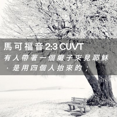 Picture 02 - 馬 可 福 音 2:3 CUVT - 有 人 帶 著 一 個 癱 子 來 見 耶 穌 - Bible Verse Picture