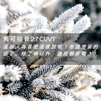 Picture 02 - 馬 可 福 音 2:7 CUVT - 這 個 人 為 甚 麼 這 樣 說 呢 ？ 他 - Bible Verse Picture