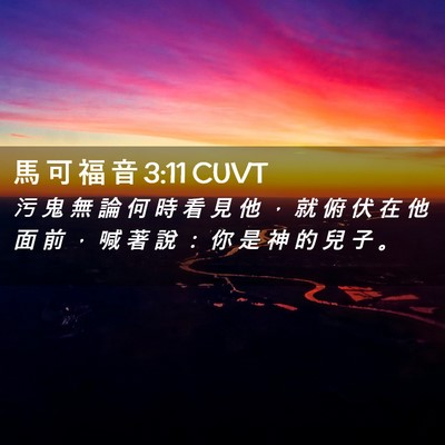 Picture 02 - 馬 可 福 音 3:11 CUVT - 污 鬼 無 論 何 時 看 見 他 ， 就 俯 - Bible Verse Picture