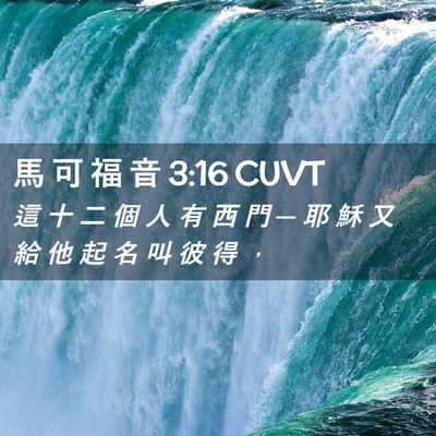 Picture 02 - 馬 可 福 音 3:16 CUVT - 這 十 二 個 人 有 西 門 ─ 耶 穌 又 - Bible Verse Picture