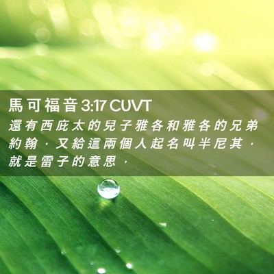 Picture 02 - 馬 可 福 音 3:17 CUVT - 還 有 西 庇 太 的 兒 子 雅 各 和 雅 - Bible Verse Picture