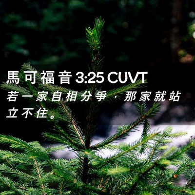 Picture 02 - 馬 可 福 音 3:25 CUVT - 若 一 家 自 相 分 爭 ， 那 家 就 站 - Bible Verse Picture
