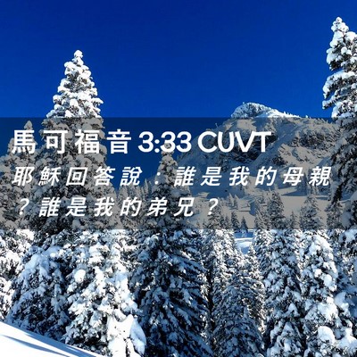 Picture 02 - 馬 可 福 音 3:33 CUVT - 耶 穌 回 答 說 ： 誰 是 我 的 母 親 - Bible Verse Picture