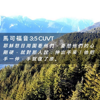 Picture 02 - 馬 可 福 音 3:5 CUVT - 耶 穌 怒 目 周 圍 看 他 們 ， 憂 愁 - Bible Verse Picture