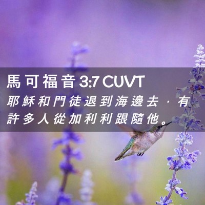 Picture 02 - 馬 可 福 音 3:7 CUVT - 耶 穌 和 門 徒 退 到 海 邊 去 ， 有 - Bible Verse Picture