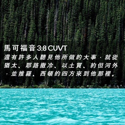 Picture 02 - 馬 可 福 音 3:8 CUVT - 還 有 許 多 人 聽 見 他 所 做 的 大 - Bible Verse Picture
