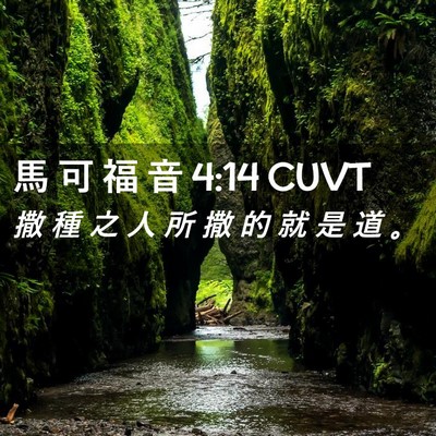 Picture 02 - 馬 可 福 音 4:14 CUVT - 撒 種 之 人 所 撒 的 就 是 道 - Bible Verse Picture