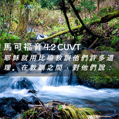 Picture 02 - 馬 可 福 音 4:2 CUVT - 耶 穌 就 用 比 喻 教 訓 他 們 許 多 - Bible Verse Picture