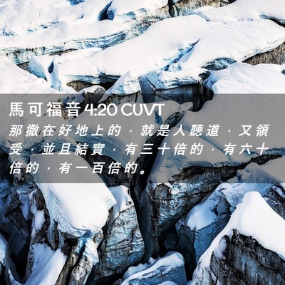 Picture 02 - 馬 可 福 音 4:20 CUVT - 那 撒 在 好 地 上 的 ， 就 是 人 聽 - Bible Verse Picture