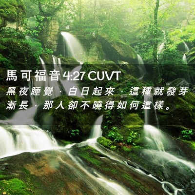Picture 02 - 馬 可 福 音 4:27 CUVT - 黑 夜 睡 覺 ， 白 日 起 來 ， 這 種 - Bible Verse Picture