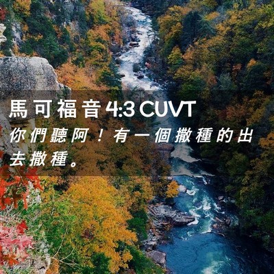 Picture 02 - 馬 可 福 音 4:3 CUVT - 你 們 聽 阿 ！ 有 一 個 撒 種 的 出 - Bible Verse Picture