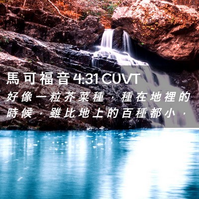 Picture 02 - 馬 可 福 音 4:31 CUVT - 好 像 一 粒 芥 菜 種 ， 種 在 地 裡 - Bible Verse Picture