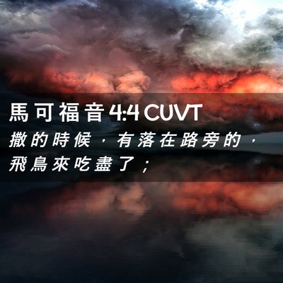 Picture 02 - 馬 可 福 音 4:4 CUVT - 撒 的 時 候 ， 有 落 在 路 旁 的 ， - Bible Verse Picture