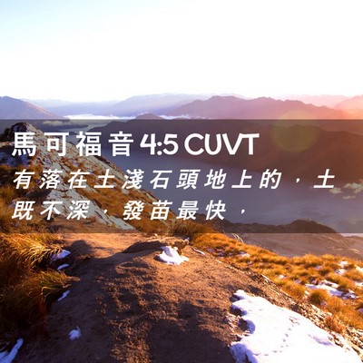 Picture 02 - 馬 可 福 音 4:5 CUVT - 有 落 在 土 淺 石 頭 地 上 的 ， 土 - Bible Verse Picture