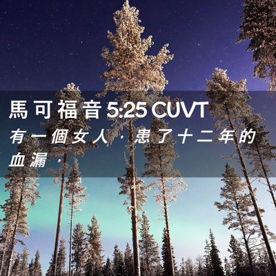 Picture 02 - 馬 可 福 音 5:25 CUVT - 有 一 個 女 人 ， 患 了 十 二 年 的 - Bible Verse Picture