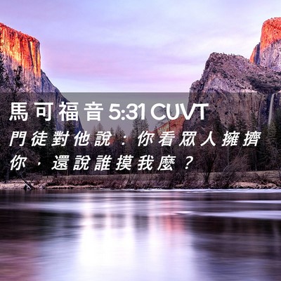 Picture 02 - 馬 可 福 音 5:31 CUVT - 門 徒 對 他 說 ： 你 看 眾 人 擁 擠 - Bible Verse Picture