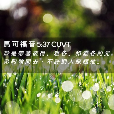 Picture 02 - 馬 可 福 音 5:37 CUVT - 於 是 帶 著 彼 得 、 雅 各 、 和 雅 - Bible Verse Picture
