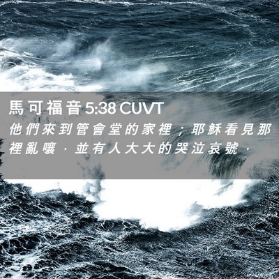 Picture 02 - 馬 可 福 音 5:38 CUVT - 他 們 來 到 管 會 堂 的 家 裡 ； 耶 - Bible Verse Picture