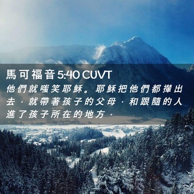 Picture 02 - 馬 可 福 音 5:40 CUVT - 他 們 就 嗤 笑 耶 穌 。 耶 穌 把 他 - Bible Verse Picture