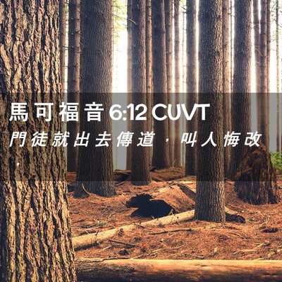 Picture 02 - 馬 可 福 音 6:12 CUVT - 門 徒 就 出 去 傳 道 ， 叫 人 悔 改 - Bible Verse Picture