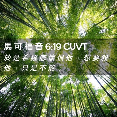 Picture 02 - 馬 可 福 音 6:19 CUVT - 於 是 希 羅 底 懷 恨 他 ， 想 要 殺 - Bible Verse Picture