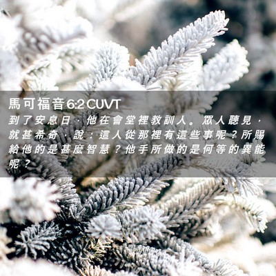 Picture 02 - 馬 可 福 音 6:2 CUVT - 到 了 安 息 日 ， 他 在 會 堂 裡 教 - Bible Verse Picture