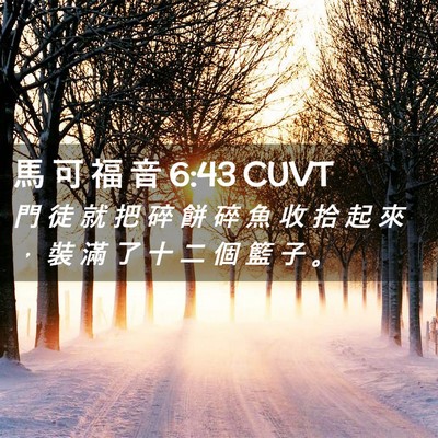 Picture 02 - 馬 可 福 音 6:43 CUVT - 門 徒 就 把 碎 餅 碎 魚 收 拾 起 來 - Bible Verse Picture