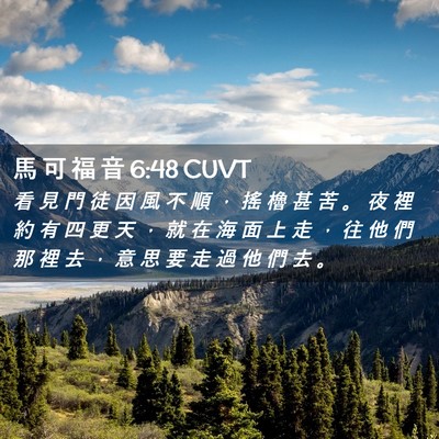 Picture 02 - 馬 可 福 音 6:48 CUVT - 看 見 門 徒 因 風 不 順 ， 搖 櫓 甚 - Bible Verse Picture