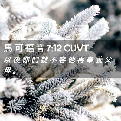 Picture 02 - 馬 可 福 音 7:12 CUVT - 以 後 你 們 就 不 容 他 再 奉 養 父 - Bible Verse Picture