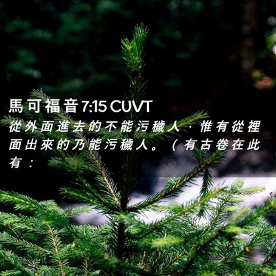 Picture 02 - 馬 可 福 音 7:15 CUVT - 從 外 面 進 去 的 不 能 污 穢 人 ， - Bible Verse Picture