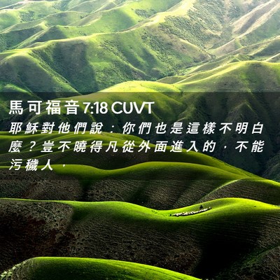 Picture 02 - 馬 可 福 音 7:18 CUVT - 耶 穌 對 他 們 說 ： 你 們 也 是 這 - Bible Verse Picture