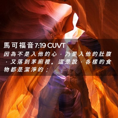 Picture 02 - 馬 可 福 音 7:19 CUVT - 因 為 不 是 入 他 的 心 ， 乃 是 入 - Bible Verse Picture