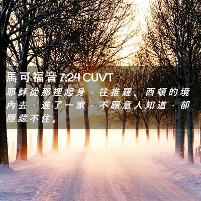 Picture 02 - 馬 可 福 音 7:24 CUVT - 耶 穌 從 那 裡 起 身 ， 往 推 羅 、 - Bible Verse Picture