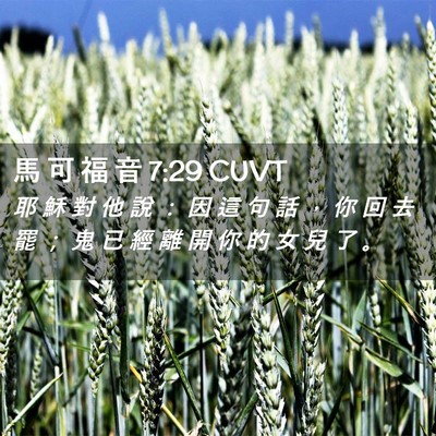 Picture 02 - 馬 可 福 音 7:29 CUVT - 耶 穌 對 他 說 ： 因 這 句 話 ， 你 - Bible Verse Picture