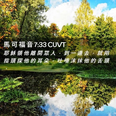 Picture 02 - 馬 可 福 音 7:33 CUVT - 耶 穌 領 他 離 開 眾 人 ， 到 一 邊 - Bible Verse Picture