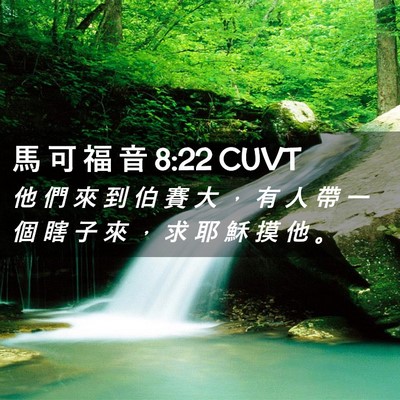 Picture 02 - 馬 可 福 音 8:22 CUVT - 他 們 來 到 伯 賽 大 ， 有 人 帶 一 - Bible Verse Picture