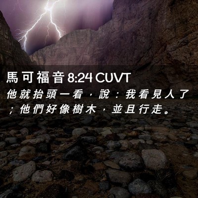 Picture 02 - 馬 可 福 音 8:24 CUVT - 他 就 抬 頭 一 看 ， 說 ： 我 看 見 - Bible Verse Picture