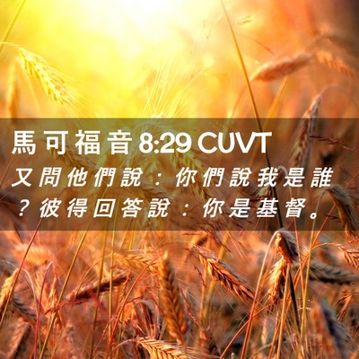 Picture 02 - 馬 可 福 音 8:29 CUVT - 又 問 他 們 說 ： 你 們 說 我 是 誰 - Bible Verse Picture