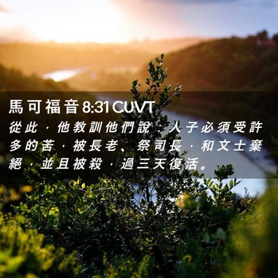 Picture 02 - 馬 可 福 音 8:31 CUVT - 從 此 ， 他 教 訓 他 們 說 ： 人 子 - Bible Verse Picture