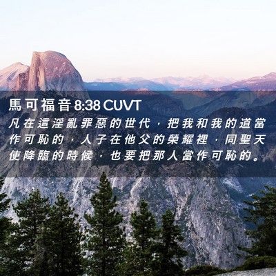 Picture 02 - 馬 可 福 音 8:38 CUVT - 凡 在 這 淫 亂 罪 惡 的 世 代 ， 把 - Bible Verse Picture