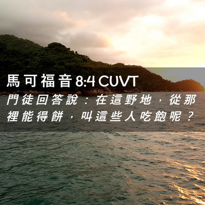 Picture 02 - 馬 可 福 音 8:4 CUVT - 門 徒 回 答 說 ： 在 這 野 地 ， 從 - Bible Verse Picture