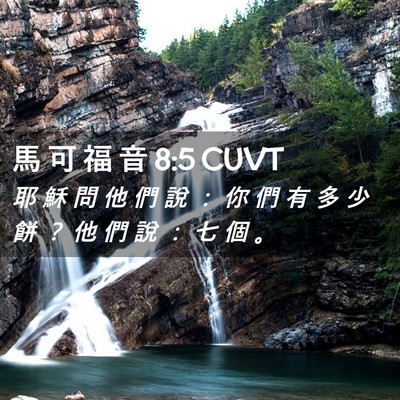Picture 02 - 馬 可 福 音 8:5 CUVT - 耶 穌 問 他 們 說 ： 你 們 有 多 少 - Bible Verse Picture