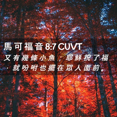 Picture 02 - 馬 可 福 音 8:7 CUVT - 又 有 幾 條 小 魚 ； 耶 穌 祝 了 福 - Bible Verse Picture